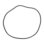 APCO2006 O-ring. Fixed Price $16.12.