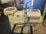 Pentair INTELLIFLO3 Vsf 3HP 011076 Variable Speed Flow Pool Pump. Fixed Price $339.99.