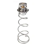 Thermal Regulator Kit (asme) For Max-e-therm/mastertemp Pentair (460924). Fixed Price $224.99.