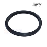 Jandy Pool Light Lens Gasket R0451101 R0790500. Fixed Price $39.99.