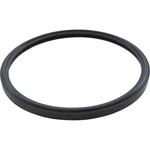 Light Lens Gasket, Hayward, Starlite, Special Hi-temp. Fixed Price $48.00.