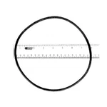 Astral Products 773R1920050 1/2" O-ring Strainer Lid. Fixed Price $19.99.