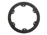 Hayward SPX0608G Face Ring Gasket. Fixed Price $25.95.