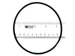 Pentair 39101500 O-ring Volute Maxim. Fixed Price $29.13.
