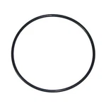 Waterway Plastics 805-0239B 1/2" O-ring Swing Valve Pvc Npt Connection. Fixed Price $19.99.