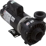 Pump, Ww Hi-flo, 1.5SPL, 115V, 2-SPD, 48FR, 2", Oem : 3420610-10. Fixed Price $452.08.