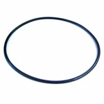 Pentair Triton Ii Sand Filter Dome Closure O-ring 6" Part O-108 Replaces 154493. Fixed Price $9.50.