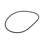 Astral 722R1362035 Valve Lid O-ring. Fixed Price $14.34.