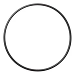 U9-228A Seal Plate O-ring For Sta-rite Pentair Dura-glas/max-e-pro/maxi-glas Poo. Fixed Price $20.99.