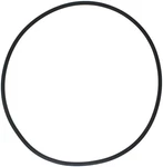 Filter Head O-ring Fits Hayward CXFHR1001 And RGX45G, Musking Cartridge, FE129. Fixed Price $12.98.