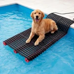 Water Ramp 35" LX23 Pool Ladder For Dogs Up To 200 Lbs Non-slip. Fixed Price $138.57.