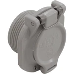 Wall Fitting, Hayward, Vac Lock Satefy, Gray. Fixed Price $61.40.