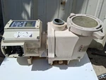 Pentair Intellflo Pool Pump 3HP Vfd. Fixed Price $650.00.