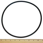 Pentair U9-373Z Seal Plate Cord Ring Starite. Fixed Price $18.85.