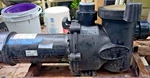 1.65 Hp Jandy Pool Pump Single Speed Century Motor 110V / 240V. Fixed Price $169.00.