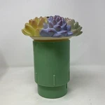 Game Solar Light-up Succulent Pool Chlorinator, Green/multi, 5X3" Tabs. Fixed Price $17.59.