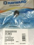 Genuine Hayward SPX1700FGV Drain Pipe Plug W/gasket CL100 CL200 Chlorine Feeder. Fixed Price $11.99.