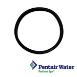 Pentair Sta-rite Lights Large Lens Gasket 8" 05501-0005 05501-0007. Fixed Price $26.99.