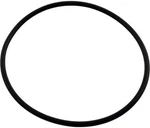Waterway 805-0239 Serviceable Swing Check Valve Cover O-ring By. Fixed Price $8.99.