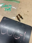 1973 1978 1979 Ford F150 F250 F350 351M 400 Timing Pointer Mount Bolts Studs Oem. Fixed Price $24.99.