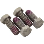 Screw, Hayward Max-flo/super Pump, Motor Mount, Quantity 4. Fixed Price $20.60.
