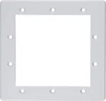 Hayward SPX1091D Standard Face Plate Replacement For Automatic Skimmers. Fixed Price $40.09.
