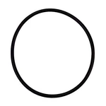 355227Z Pentair Diffuser O-ring. Fixed Price $11.90.