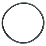 Sta Rite (U9-373) Flo Tech/aquatools/dyna-glas/dyna-jet Seal Plate O-ring O-469. Fixed Price $14.00.