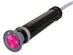 Hayward Colorlogic 320 Led Accent Light - 12V, 50FT Cord (W3LACUS11050). Fixed Price $569.00.
