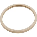 Gasket, Pentair Amerlite, Light Lens, 8-3/8". Fixed Price $40.10.