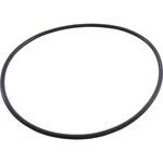 Pentair U9-228A Seal Plate O-ring For Max-e-pro Pool Pump. Fixed Price $13.85.