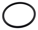 Pentair R172319 Bottom O-ring Replacement Pool And Spa In-line Automatic Feeder. Fixed Price $8.50.