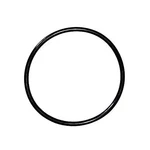Oem Pentair Intelliflo Whisperflo Pinnicle Pump Lid O-ring Part 350013Z. Fixed Price $11.99.