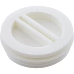 Rainbow/pentair R22010Z Plug, Vac-mate Skimmer, 1-1/2, Threaded. Fixed Price $21.01.
