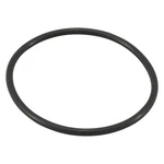 Jandy Truclear O-ring Replacement R0694100. Fixed Price $17.95.