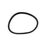 Jandy Pro Series Lid O-ring, Fhpm, Vs-fhp Fhp, Replacement Kit.. Fixed Price $20.10.