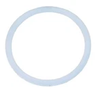 Astral 19028R0205 Back Ring Or Pool And Spa. Fixed Price $13.05.