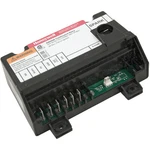 Raypak 004817B Ignition Control Natural Gas. Fixed Price $214.14.