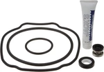 Hayward SPXHKIT100 Quick Pump Repair Replacement For Tristar/ecostar. Fixed Price $63.23.