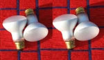 4 New Light Bulb Watt Short Neck Pool 130V Flood Spa 100R20. Fixed Price $59.99.