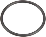 Pentair O-ring U9-266. Fixed Price $10.96.