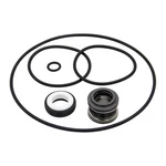 PS-200 Shaft Seal And O-ring Rebuild Kit Replacement For XP2, XP2E, Aquaflo,. Fixed Price $15.92.