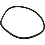 T-ring, Hayward Northstar SP4000/4000X, Trap Body, PRE-2008. Fixed Price $49.25.