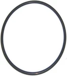 Hayward CX400G Filter Tank And Pump Lid Oring. Fixed Price $83.19.