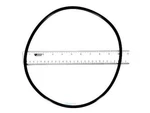 Genuine Pentair Sta-rite Duraglas/maxeglas Pool Pump Seal Plate O-ring U9-228AZ. Fixed Price $6.99.