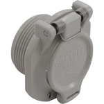Wall Fitting, Hayward, Vac Lock Safety, Gray : W400BLGP. Fixed Price $45.22.
