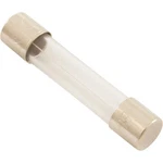 Fuse, 3A, Autopilot Chlorinator. Fixed Price $11.21.