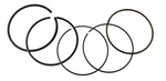 Namura Standard Bore Piston Rings For Polaris 570 Sportsman, Rzr & Ranger 99MM. Fixed Price $21.95.