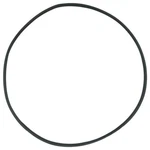 Jacuzzi (47-0380-47-R) Cft, Cfr Filter Lid Replacement O-ring O-413. Fixed Price $9.95.