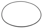 Waterway Plastics 805-0164B 1/2" O-ring Volute For EX2 Pumps. Fixed Price $31.50.